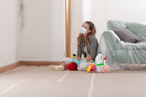 Reliable Mold Inspection And Testing contractor in Clearfield, PA by Car Mold Remediation